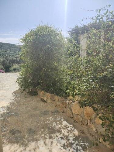 Delice Doga Evi