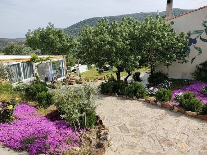 Delice Doga Evi