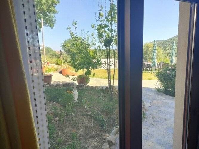Delice Doga Evi