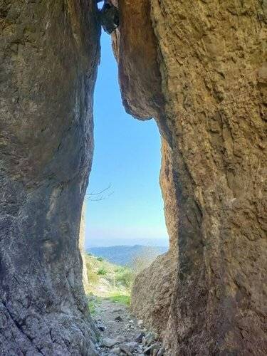 Delice Doga Evi