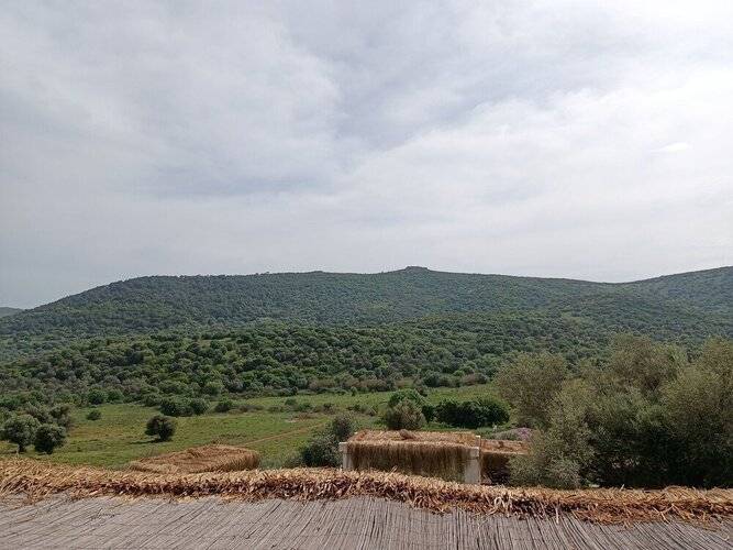 Delice Doga Evi