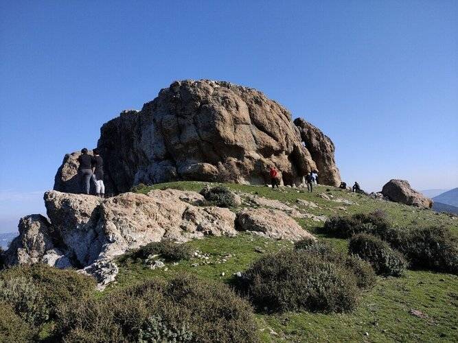 Delice Doga Evi