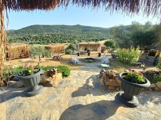 Delice Doga Evi