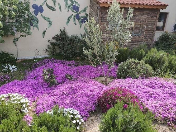 Delice Doga Evi