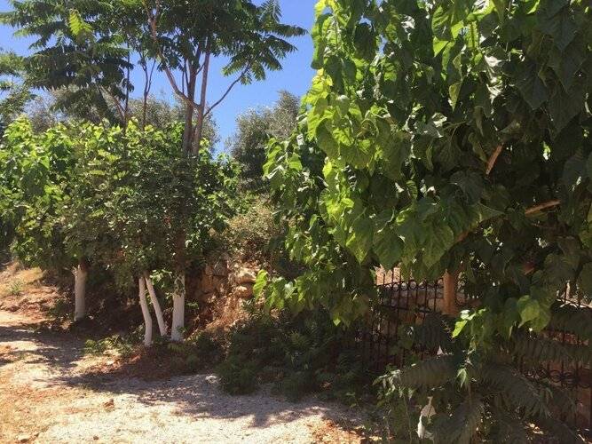 Olympos Mocamp Kas
