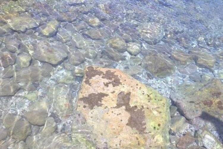 Uzum Iskelesi Butik Otel