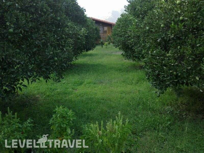 Фотография Cirali Villa Zeytin