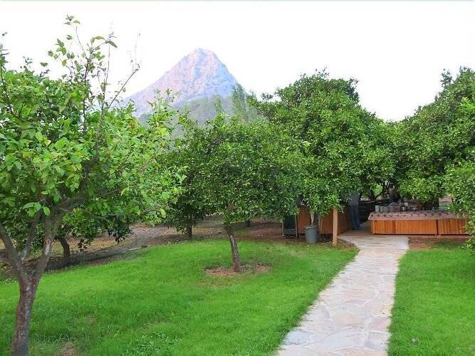 Portakal Bahcesi
