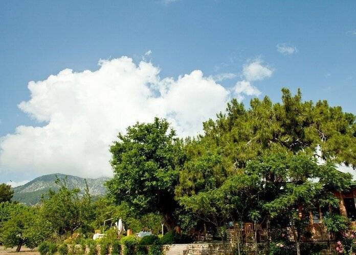 Etenna Beach Bungalows