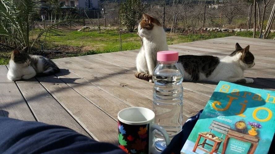 Adrasan Deniz Hotel