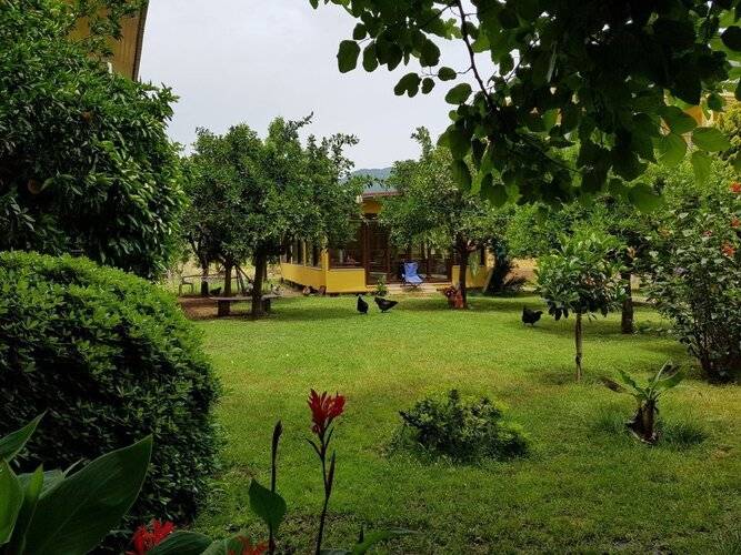 Narcicegi Otel
