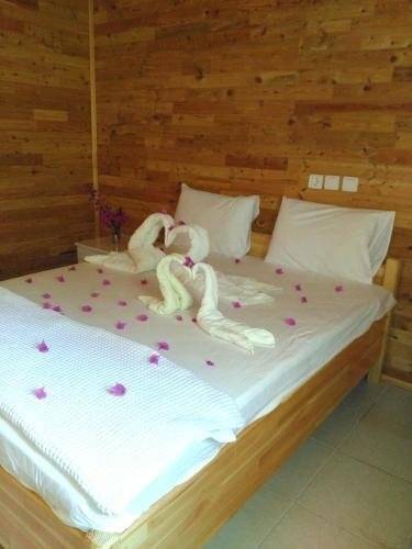 Adrasan Apart Parlak