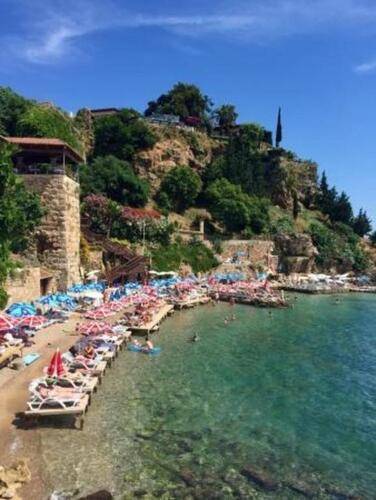 Cedrus Hotel