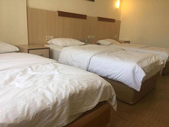 Safari Hotel
