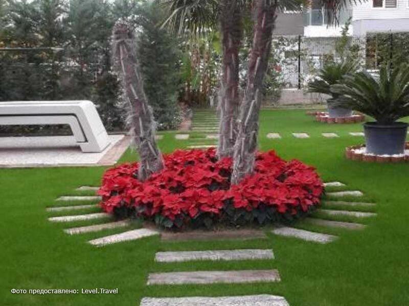 Фотография BMK Suites & Apartments