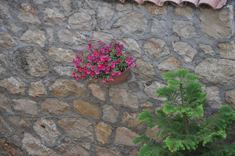 Kaleici Hotel