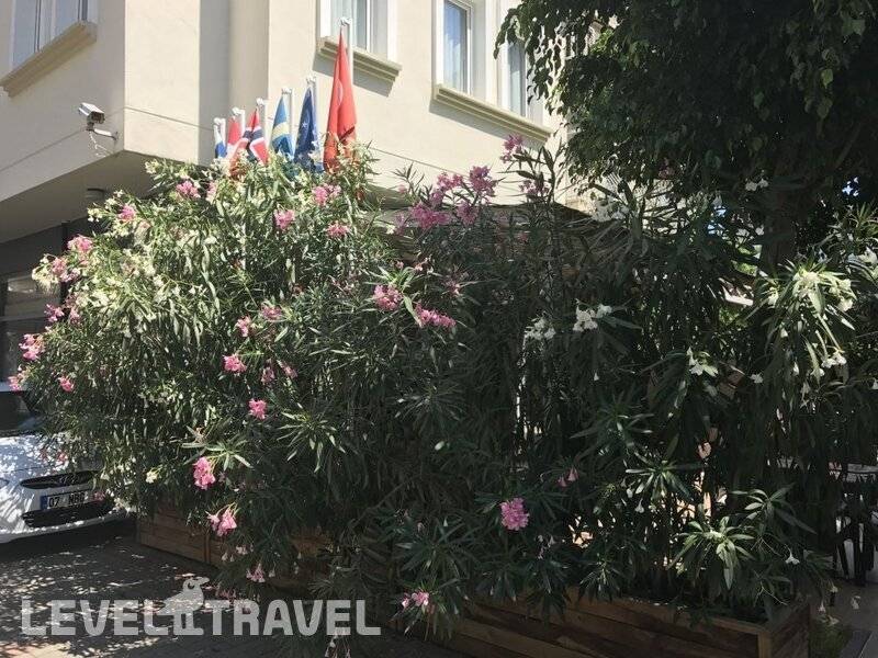 Фотография Narcis Apart Hotel