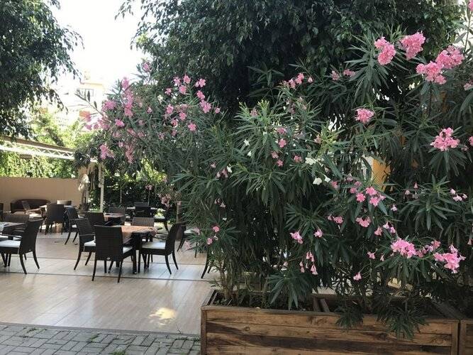 Narcis Apart Hotel