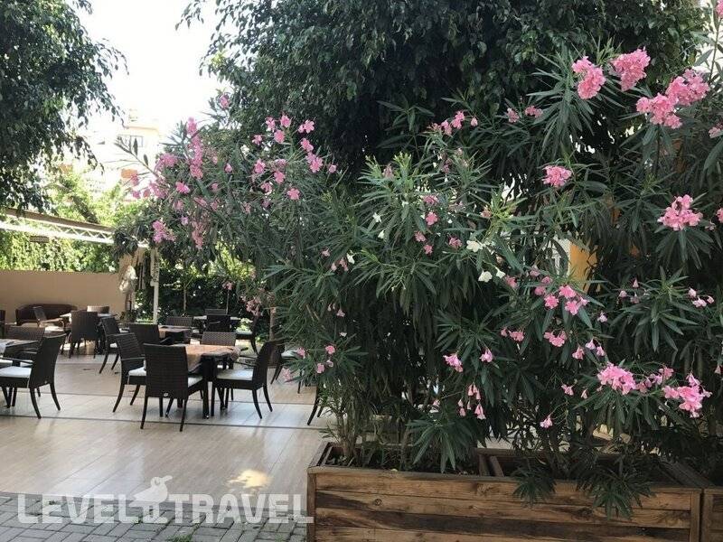 Фотография Narcis Apart Hotel