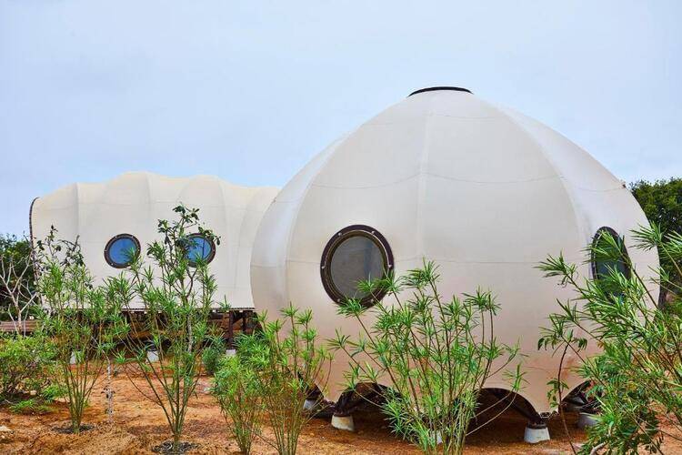 Wild Coast Tented Lodge
