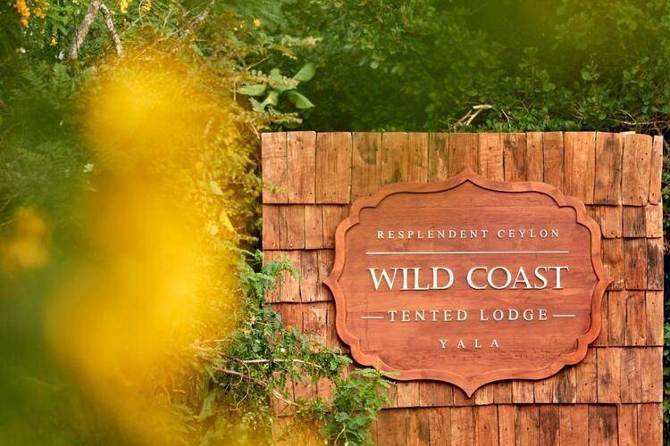 Wild Coast Tented Lodge