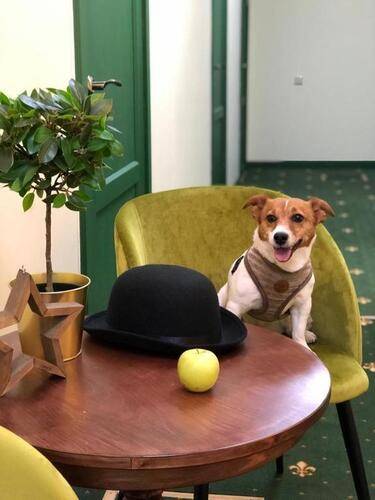 Apple Dream Hotel