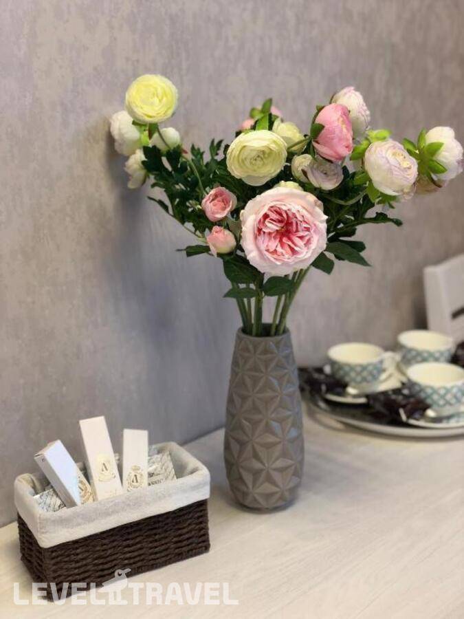 фотографии отеля Flori Hotel в Россия(Юго-восточный административный округ (ЮВАО)) - фото №27