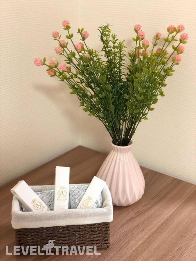 фотографии отеля Flori Hotel в Россия(Юго-восточный административный округ (ЮВАО)) - фото №20