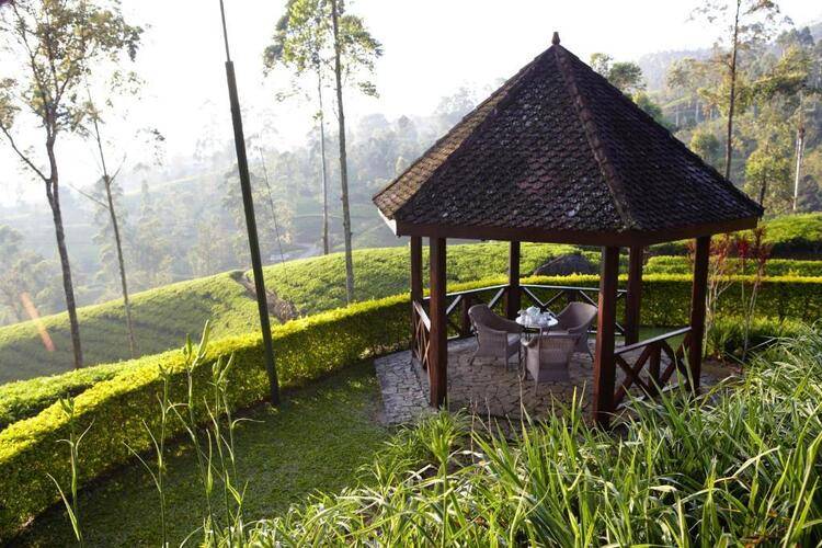 Ceylon Tea Trails