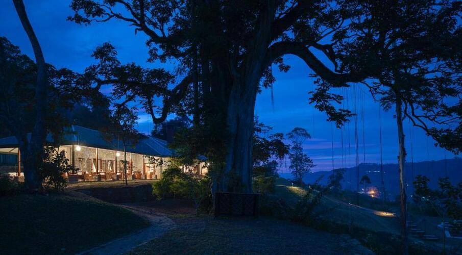 Ceylon Tea Trails