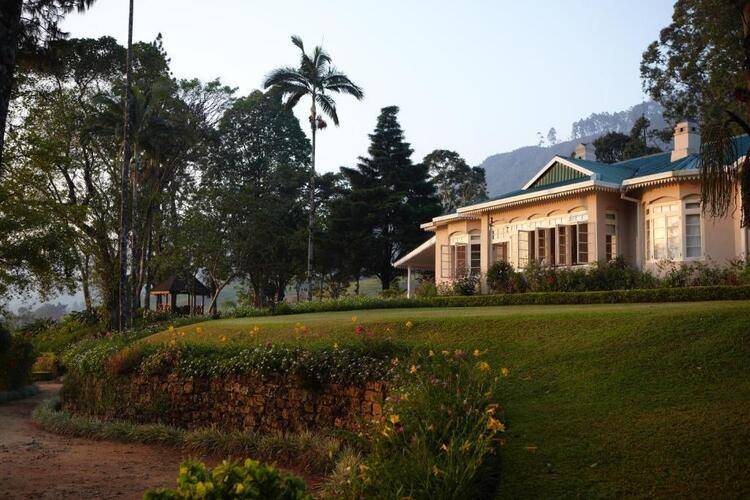 Ceylon Tea Trails