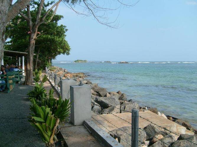 Reef Garden Polhena