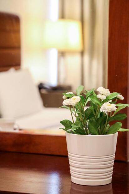 Mermaid Beach Hotel