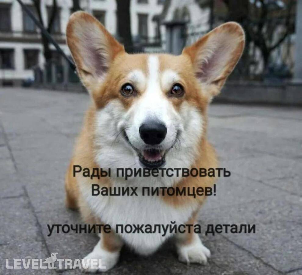 Изображение отеля 8