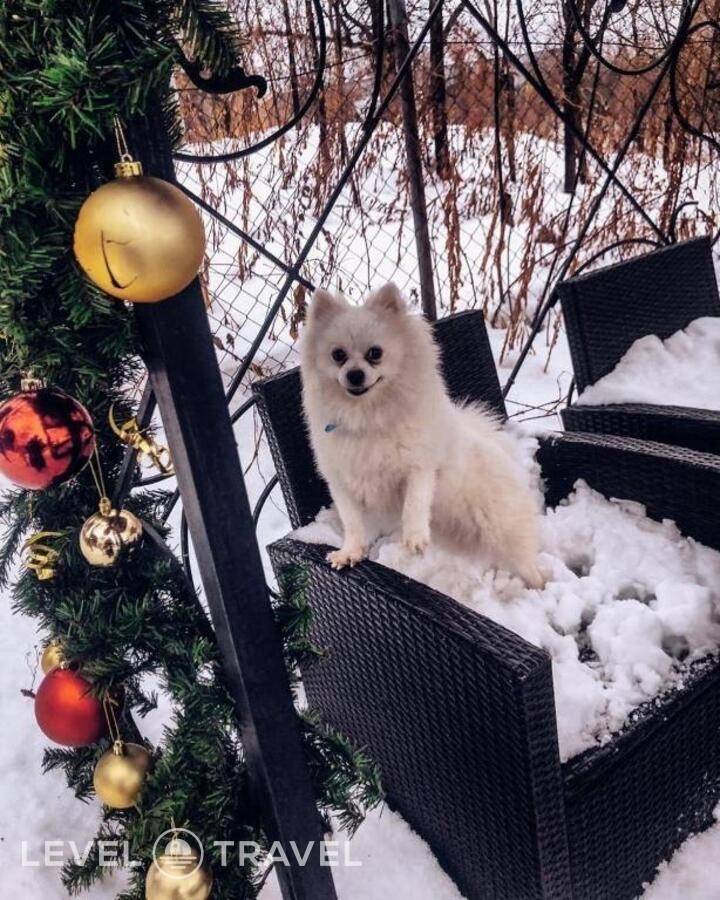 Изображение отеля 13
