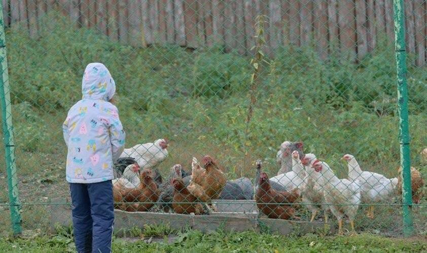 База отдыха Акватория