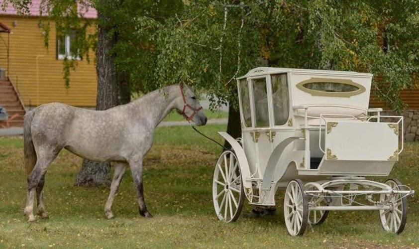 База отдыха Акватория
