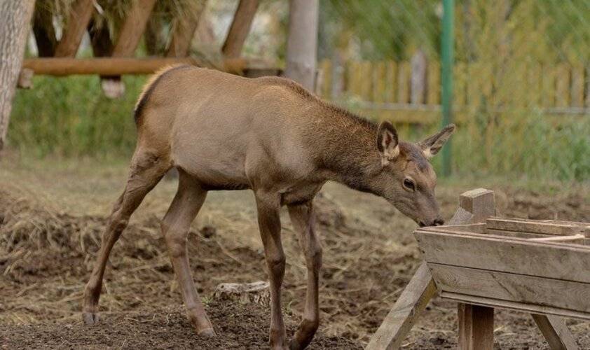 База отдыха Акватория