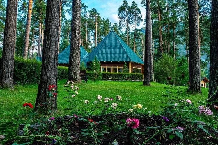 Отель Кедровый Остров