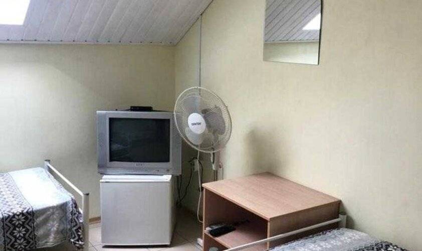 ГД Дельфин