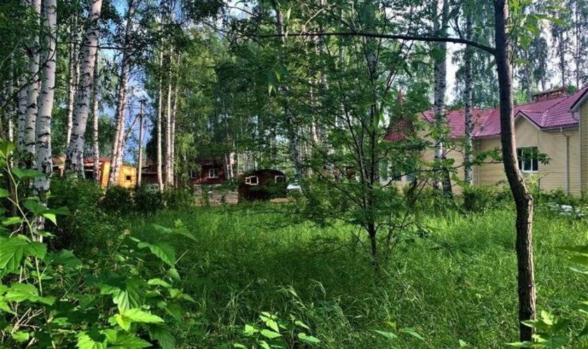 База отдыха Ручеек