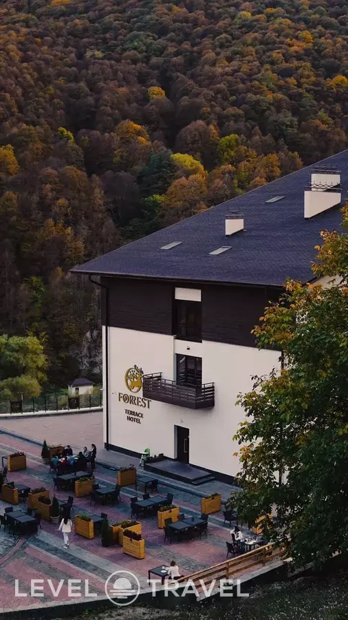 Отель Форрест Фиагдон (Forrest Terrace)