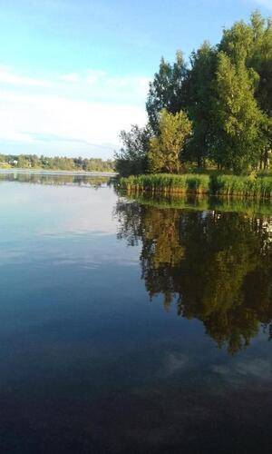Парк-отель Диево Городище