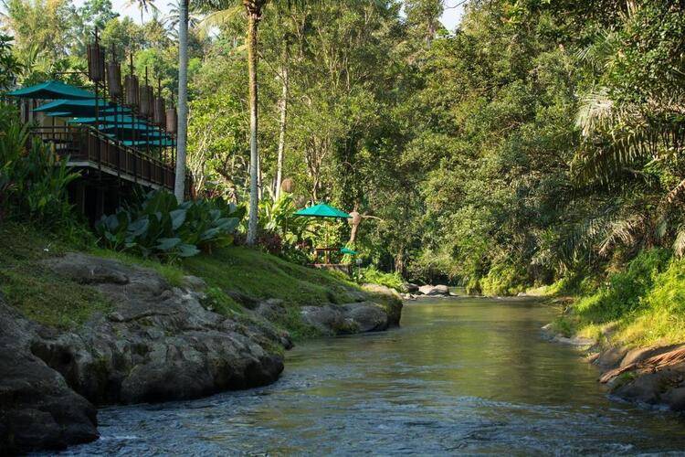 The Samaya Ubud