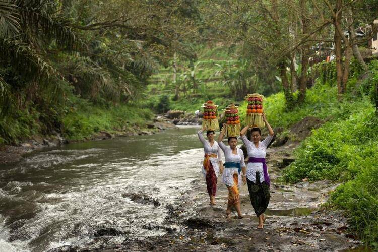 The Samaya Ubud