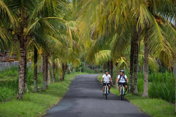 The Samaya Ubud