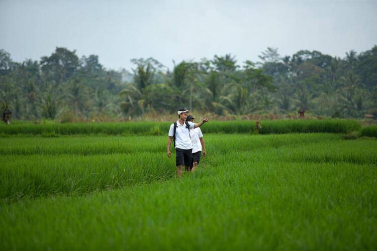 The Samaya Ubud