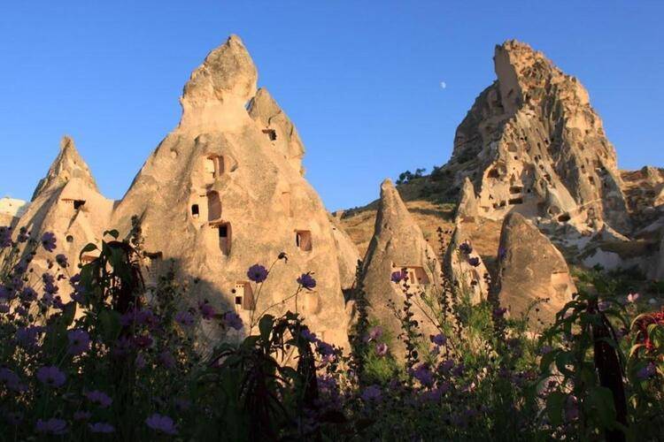 Elif Stone House