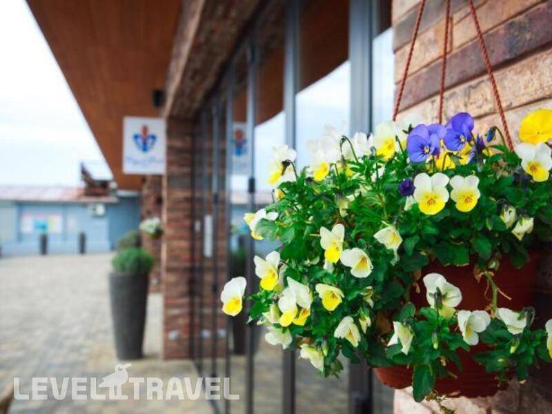Фотография Отель Полёт Чайки