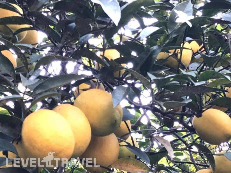 Фотография Гостевой дом на Черноморской